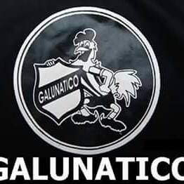 logo_galunáticos